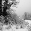 Paysage