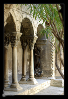 Clotre Saint Trophime
