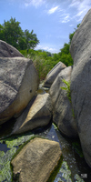Marcage Tayrona