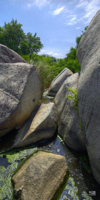 Marcage Tayrona