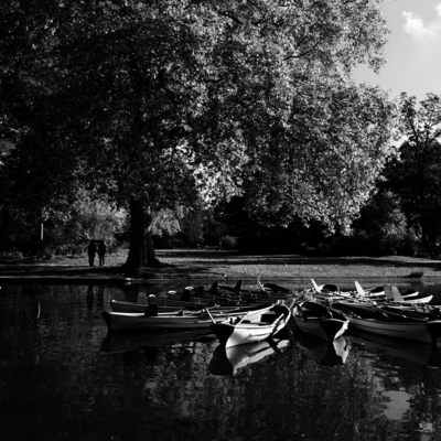 Barques sur le lac