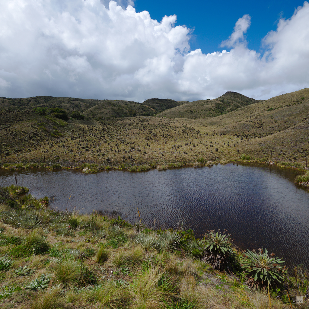 Laguna del Valle
