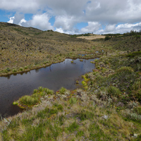 Laguna del Valle

