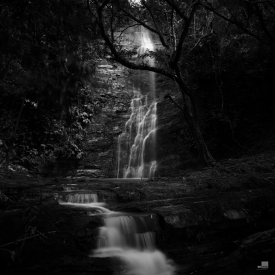 Cascada del Arbol
